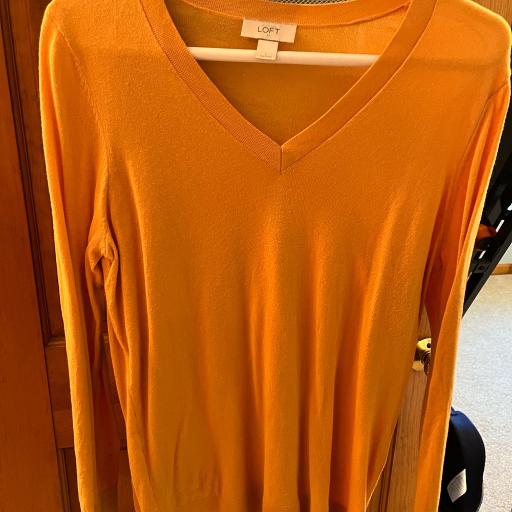 Ann Taylor Sweater